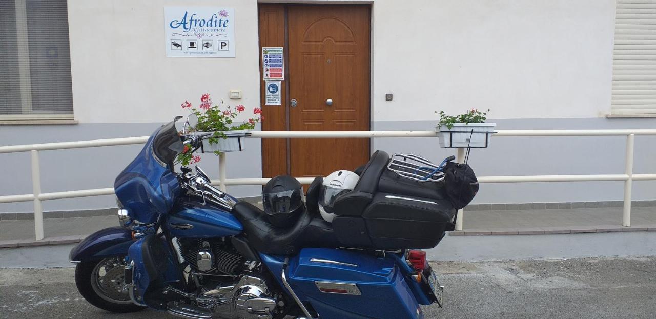 Hotel Afrodite Scalea Exteriér fotografie