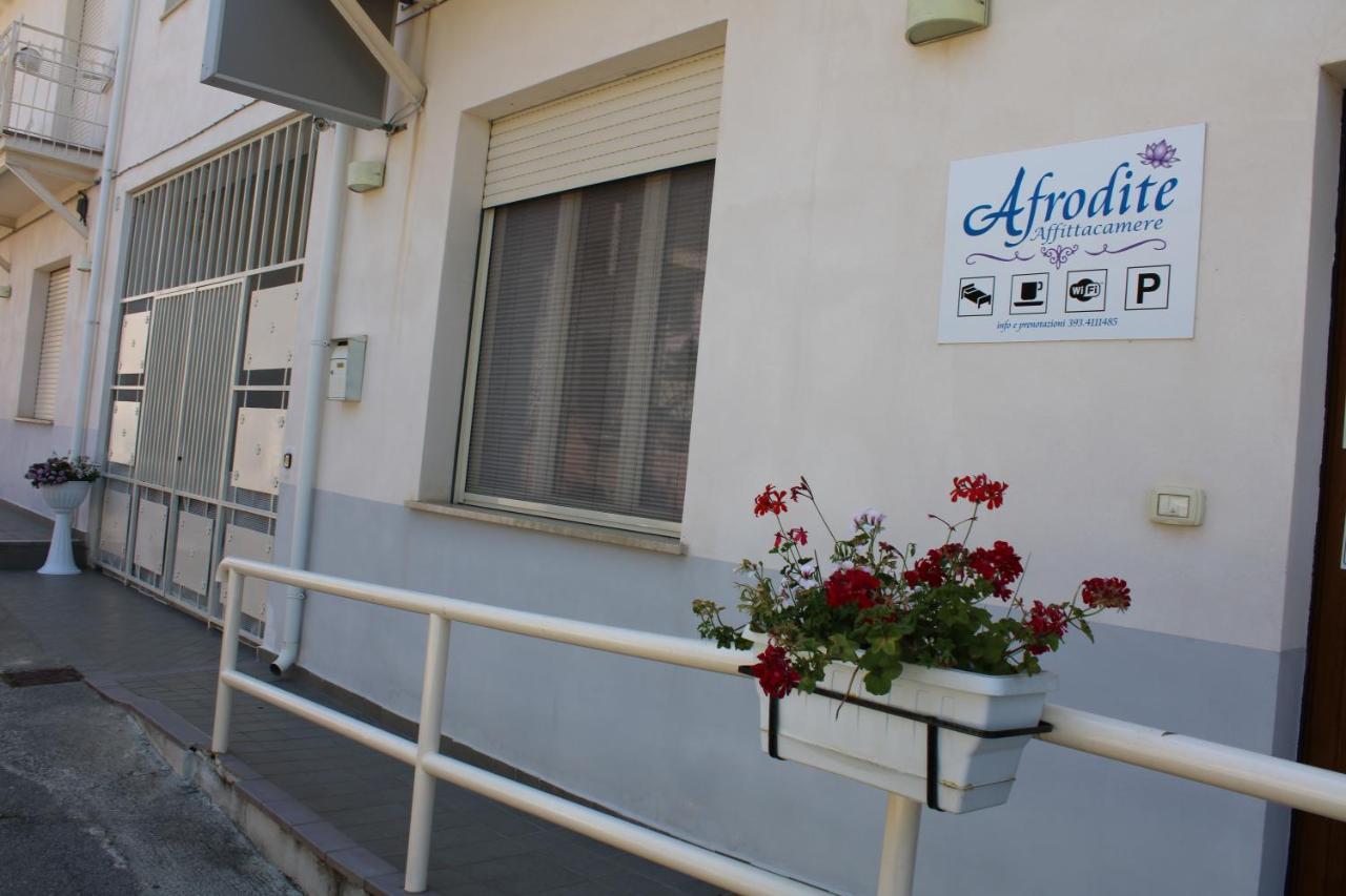 Hotel Afrodite Scalea Exteriér fotografie