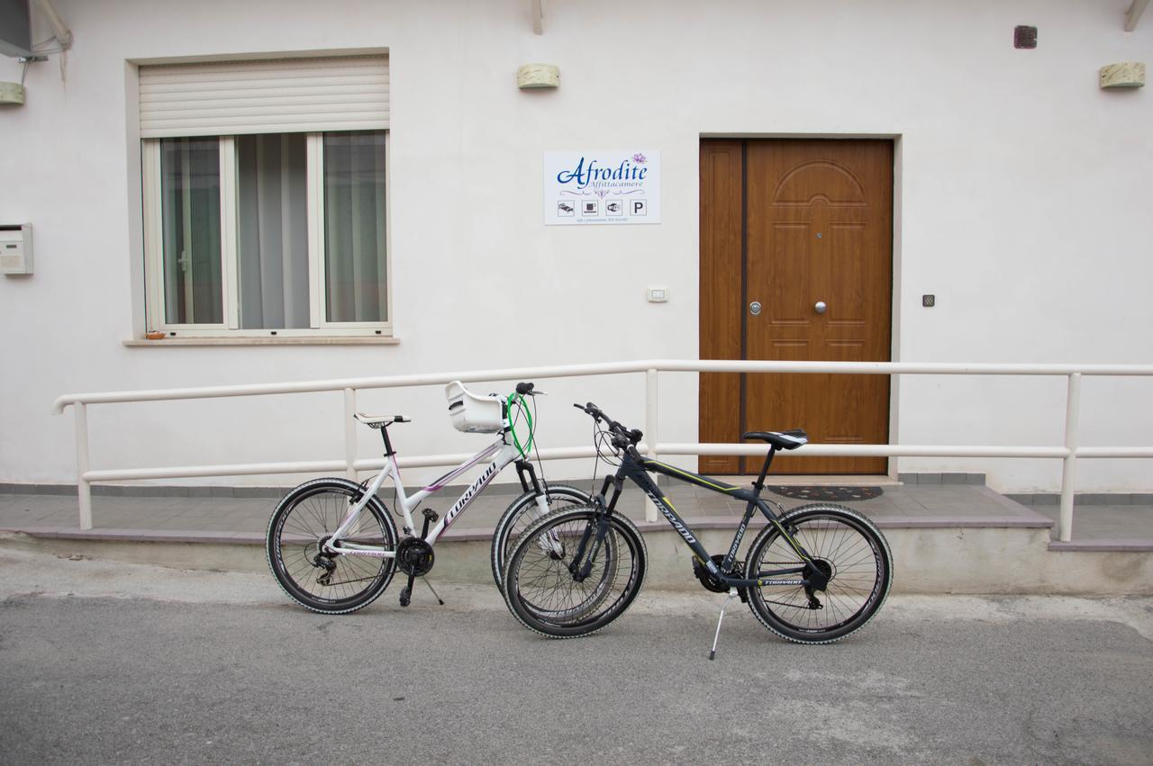 Hotel Afrodite Scalea Exteriér fotografie